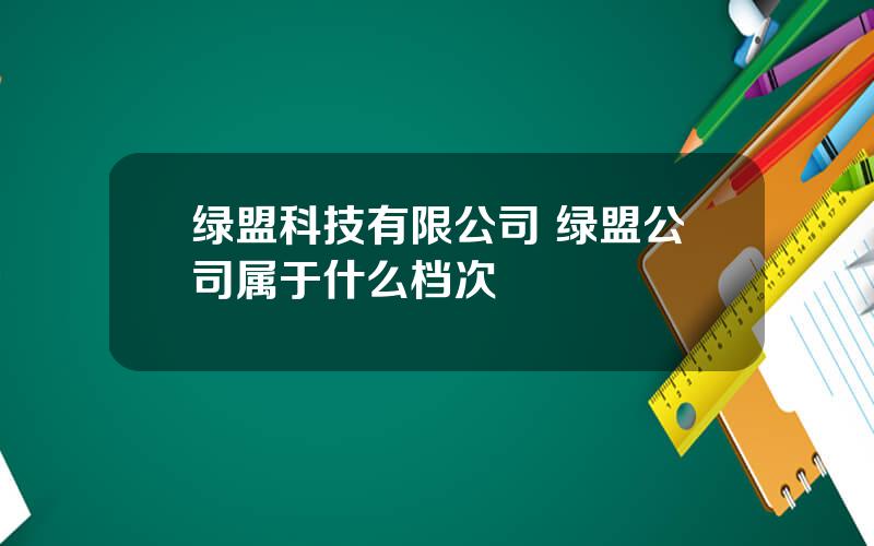 绿盟科技有限公司 绿盟公司属于什么档次